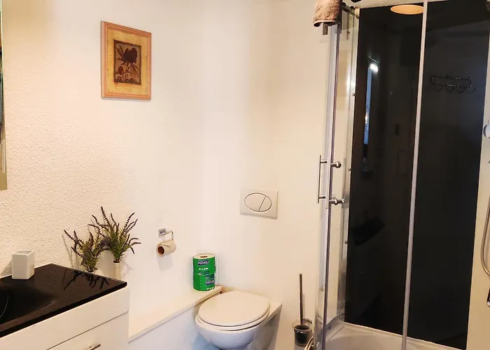 Penzion Stranny Pensionat 3*